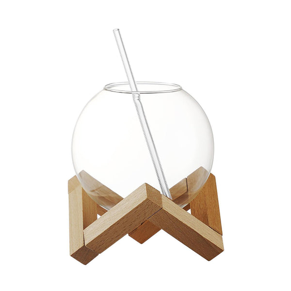 Lunar Glass Cup